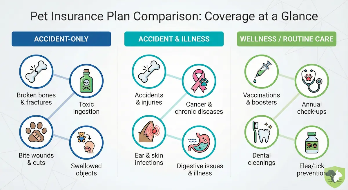 Visual comparison of accident-only, accident and illness, and wellness pet insurance coverage types