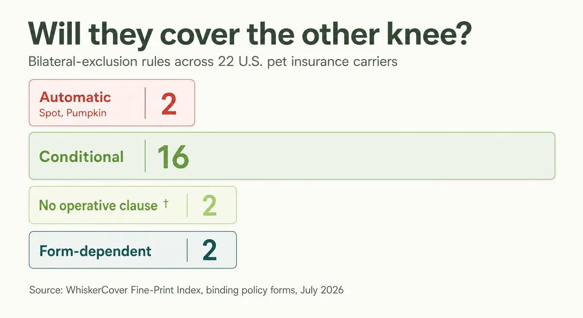 Chart splitting 22 U.S. pet insurance carriers by bilateral-exclusion type — automatic, conditional, no operative clause, and form-dependent