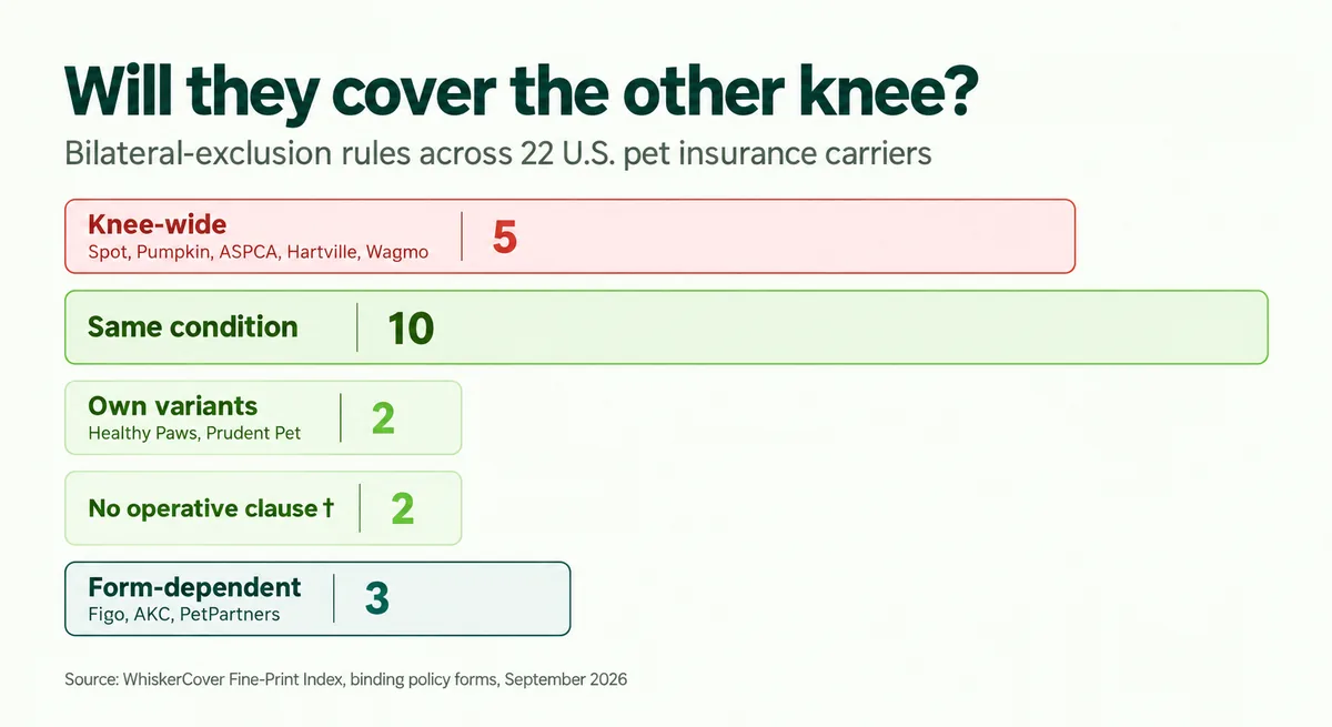 Chart splitting 22 U.S. pet insurance carriers by bilateral-exclusion reach — knee-wide, same condition, own variants, no operative clause, and form-dependent