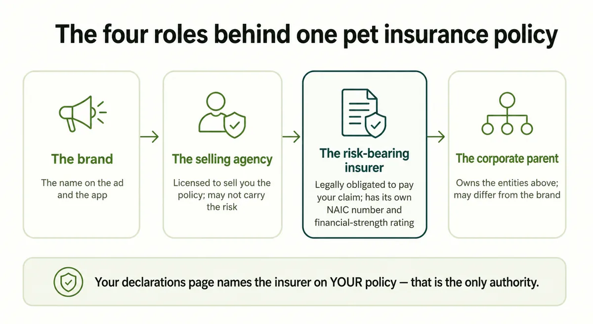 Diagram showing the four roles behind a pet insurance policy — brand, selling agency, risk-bearing insurer and corporate parent
