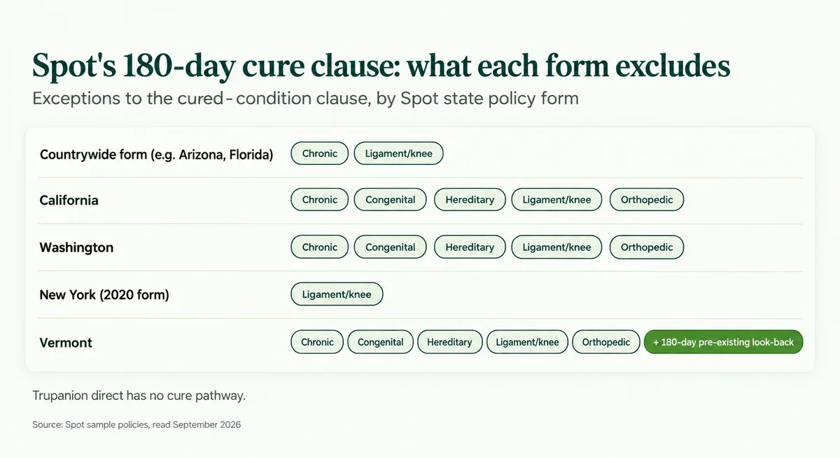 Table graphic listing the exceptions to Spot's 180-day cured-condition clause on five of its state policy forms
