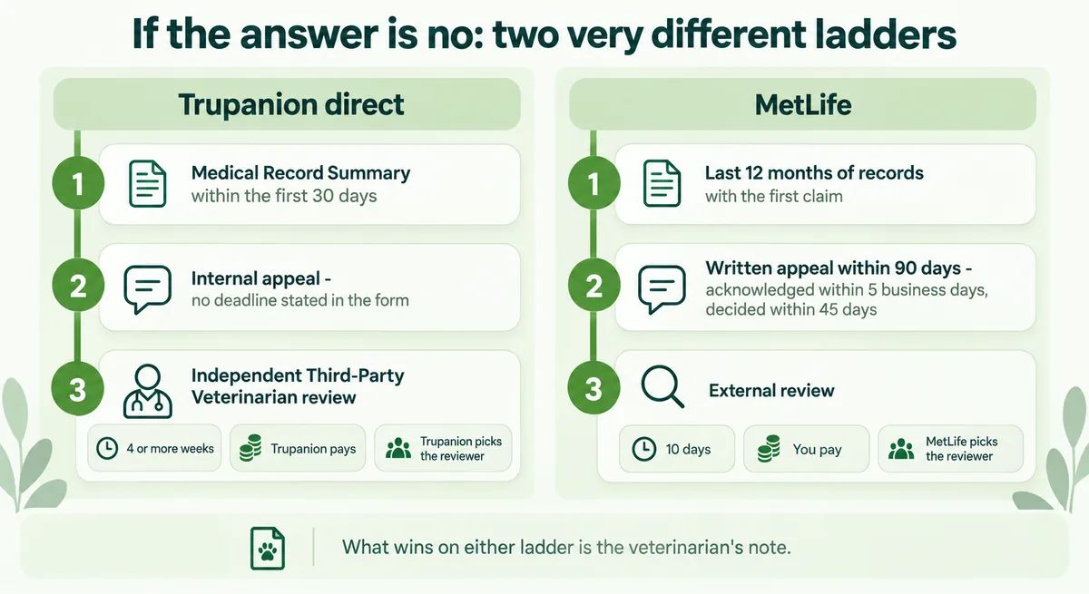 Two-ladder flow graphic comparing when Trupanion and MetLife read a pet's medical record and how each carrier's appeal and independent-review steps run, with the deadlines and who pays
