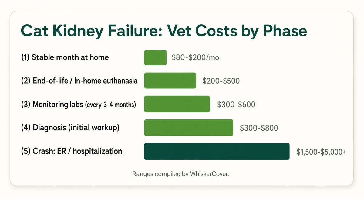 Bar chart of US cat kidney-failure vet costs by phase, from a stable month at home to an acute crash hospitalization