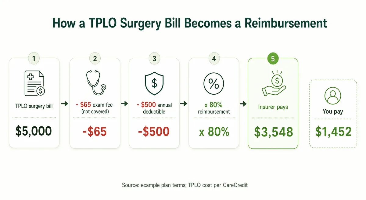 Worked example showing how a $5,000 TPLO surgery bill becomes a $3,548 reimbursement after the exam fee, deductible, and 80% reimbursement rate