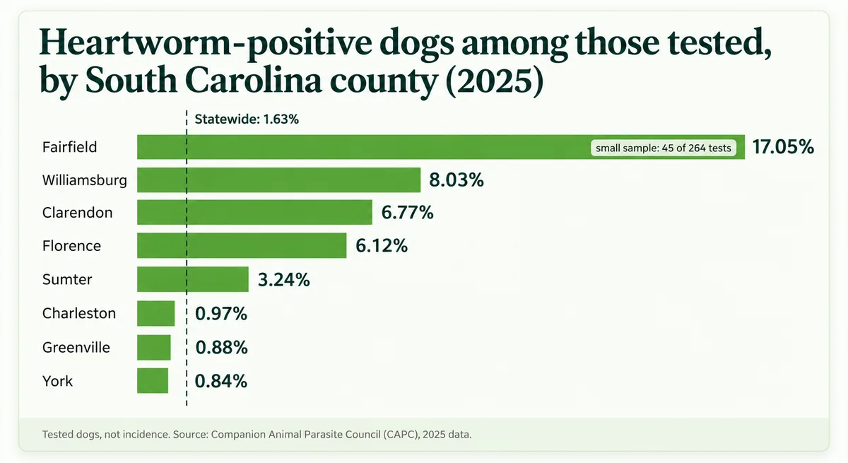 Share of tested South Carolina dogs that were heartworm antigen-positive in 2025, by county — highest inland (Fairfield, Williamsburg, Clarendon, Florence), lowest in Charleston, Greenville and York — against a 1.63% statewide line