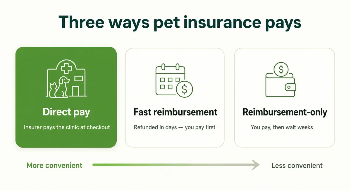 Three-column infographic comparing pet insurance payment models — direct pay (insurer pays the clinic at checkout), fast reimbursement (refunded in days, you pay first), and reimbursement-only (you pay, then wait weeks)