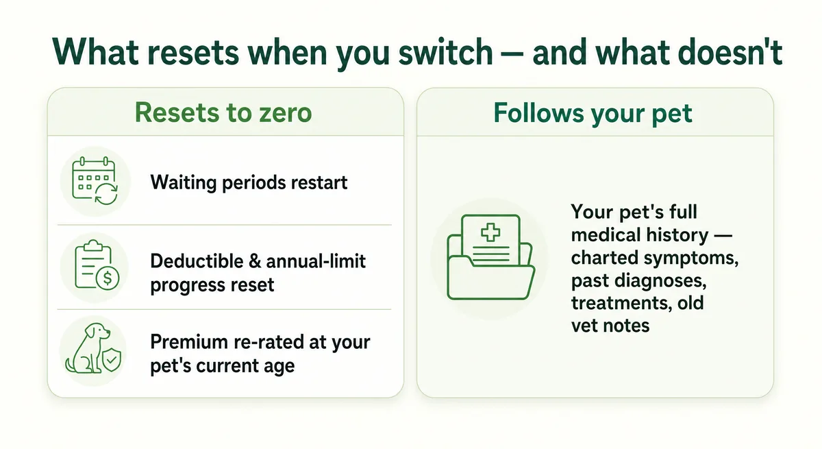 Two-column graphic showing what resets when you switch pet insurance versus what carries over with your pet