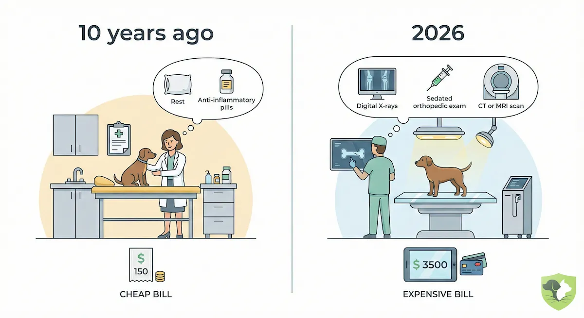Comparison of veterinary care approaches: 10 years ago a limp meant rest and observation, today it means digital X-rays, orthopedic exams, and CT scan referrals