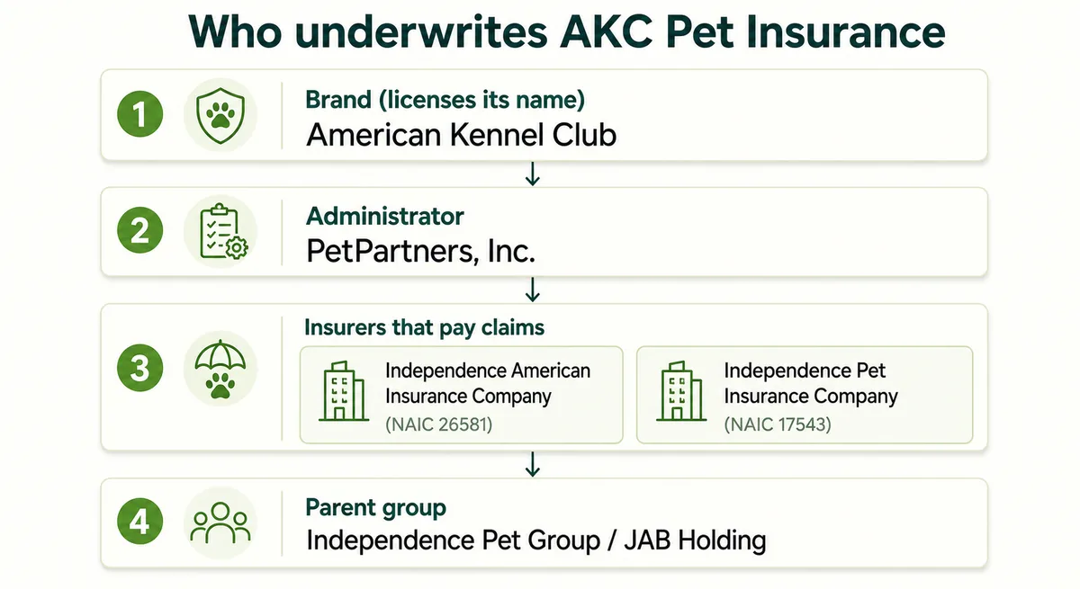 Diagram showing AKC licenses its name to PetPartners, with Independence American and Independence Pet Insurance as the risk-bearing carriers under Independence Pet Group and JAB Holding