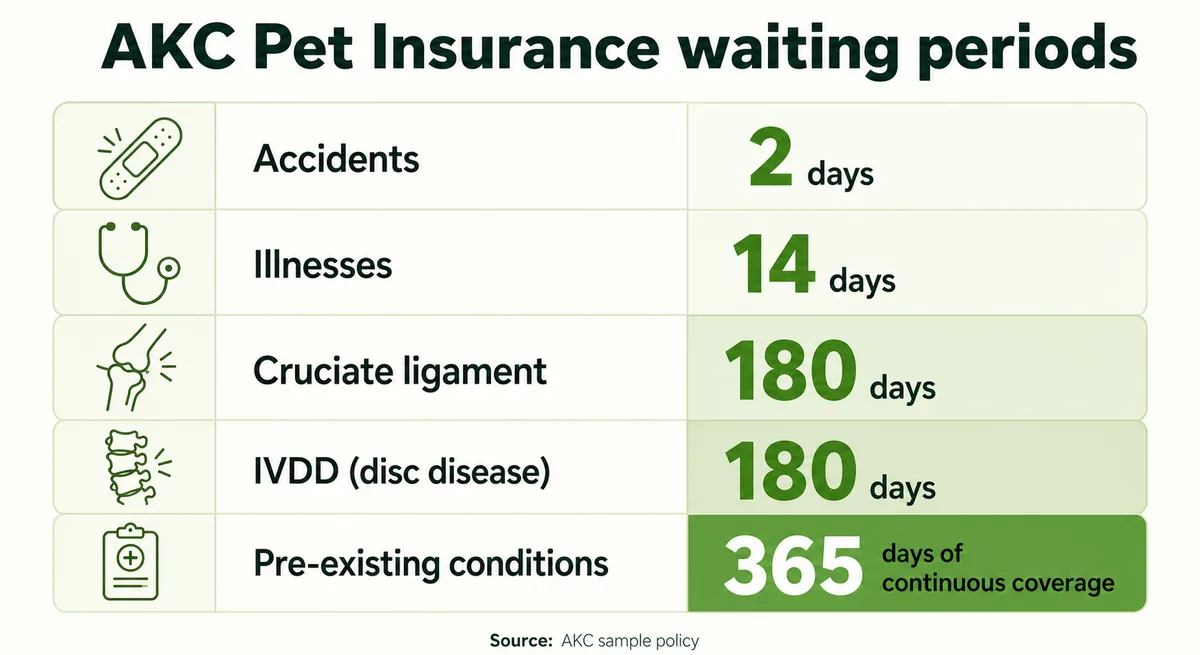 Table of AKC Pet Insurance waiting periods — 2 days accidents, 14 days illnesses, 180 days cruciate and IVDD, 365 days pre-existing