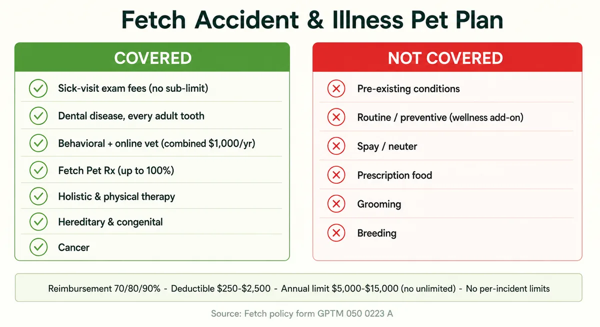 Two-column checklist of what Fetch's accident-and-illness plan covers versus what it excludes