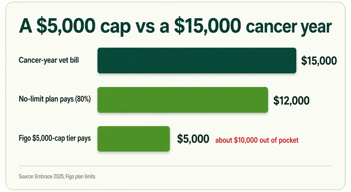 Bar graphic showing a $15,000 dog-cancer-year bill against Figo's $5,000 annual cap and the resulting out-of-pocket gap