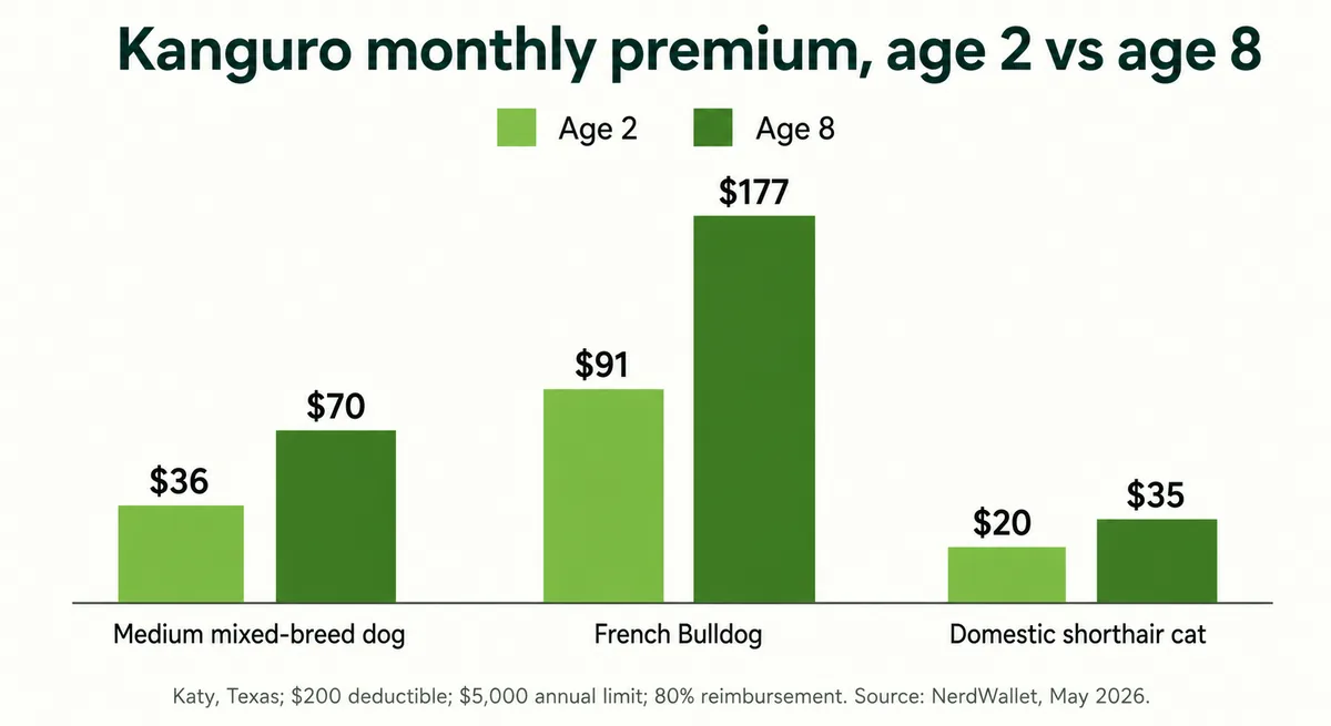 Grouped bar chart of Kanguro monthly premiums at pet age 2 versus age 8 for three pet profiles