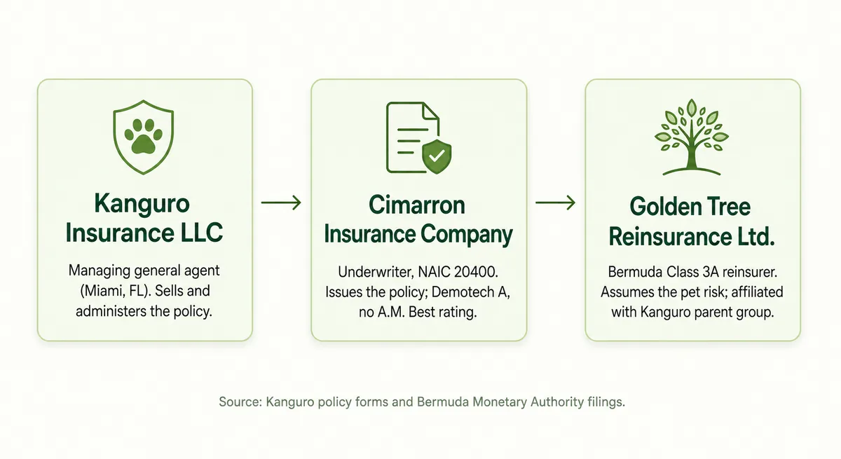 Flow diagram showing Kanguro as the managing general agent, Cimarron as the underwriter, and Golden Tree Reinsurance assuming the risk