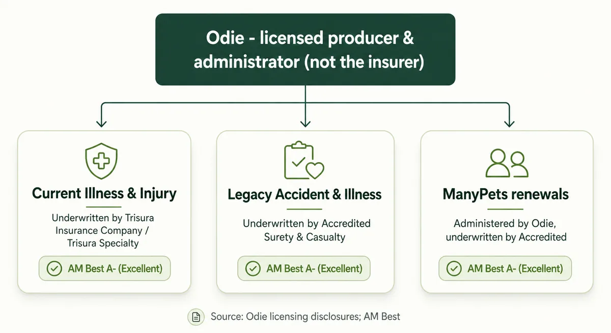 Diagram showing Odie as an administrator sitting on top of three underwritten policy segments
