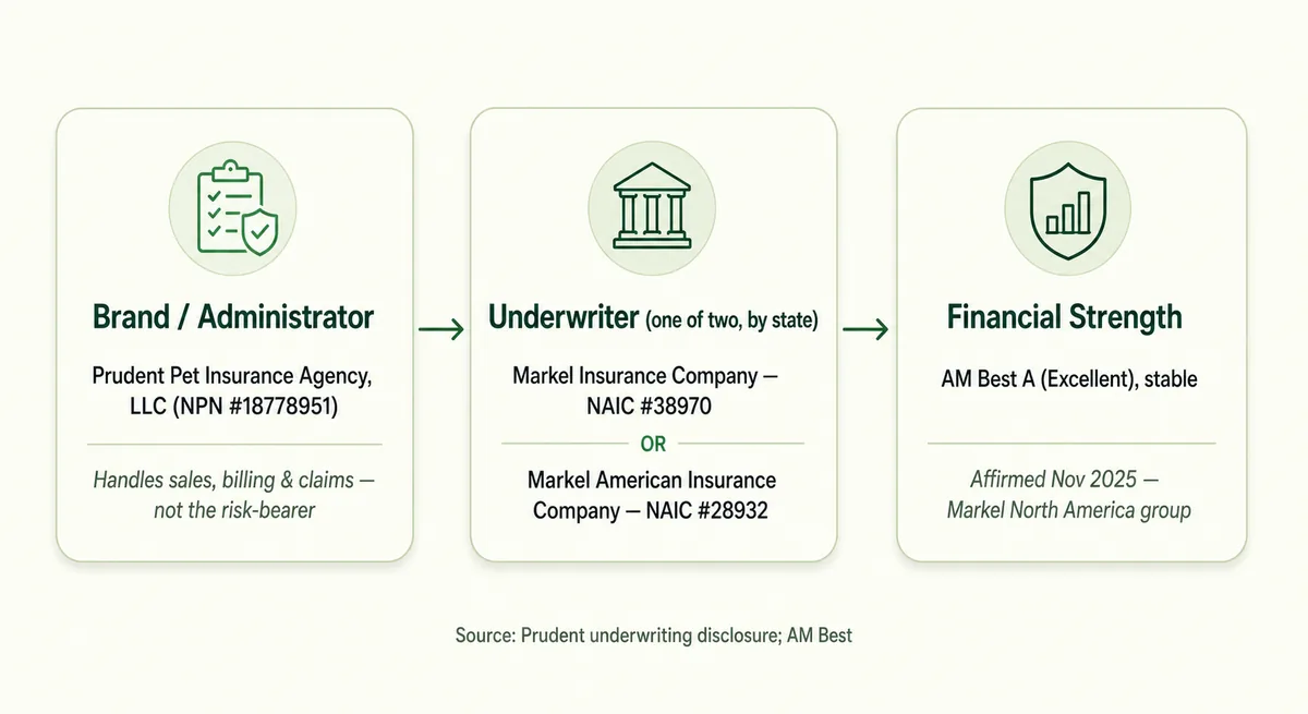 Diagram of who stands behind a Prudent Pet policy — the brand/agency, the two Markel underwriters, and their AM Best rating