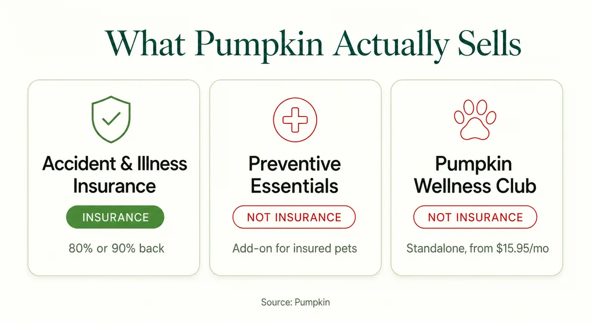 Explainer comparing Pumpkin's three products — accident-and-illness insurance vs. Preventive Essentials vs. Wellness Club — showing which are insurance