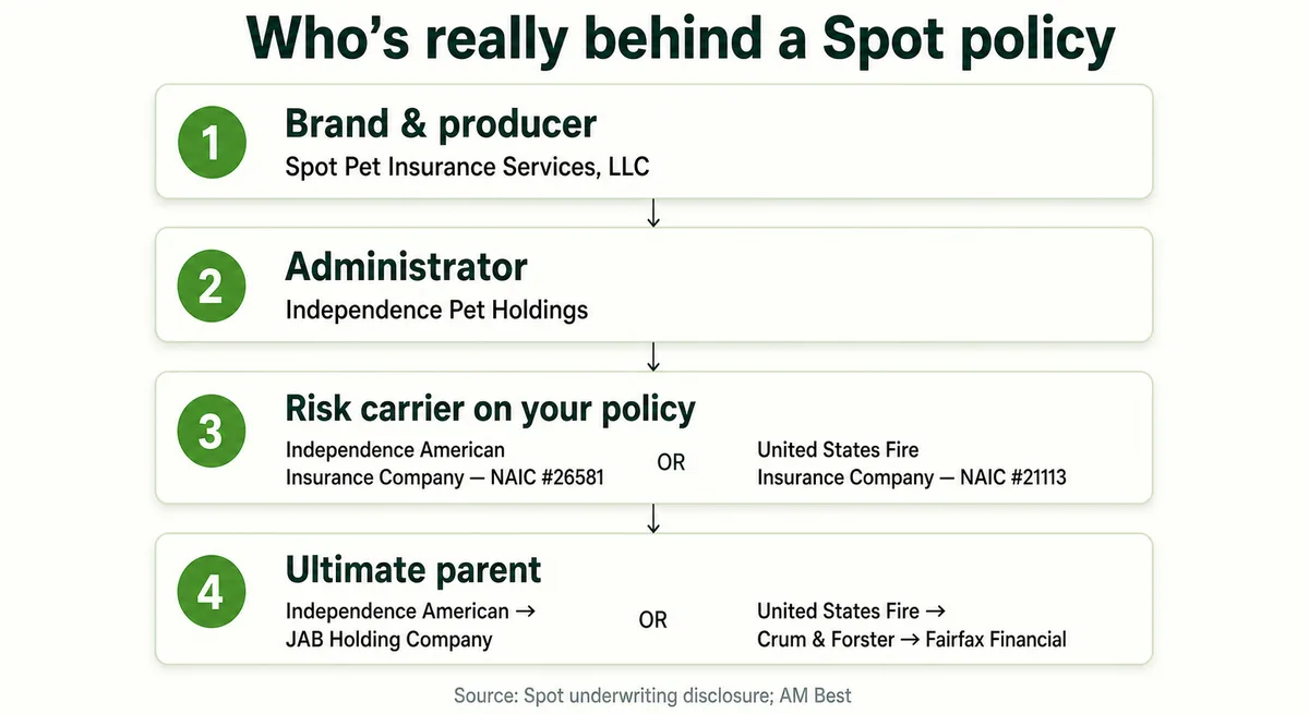 Diagram of the four entities behind a Spot policy and the two-parent corporate split