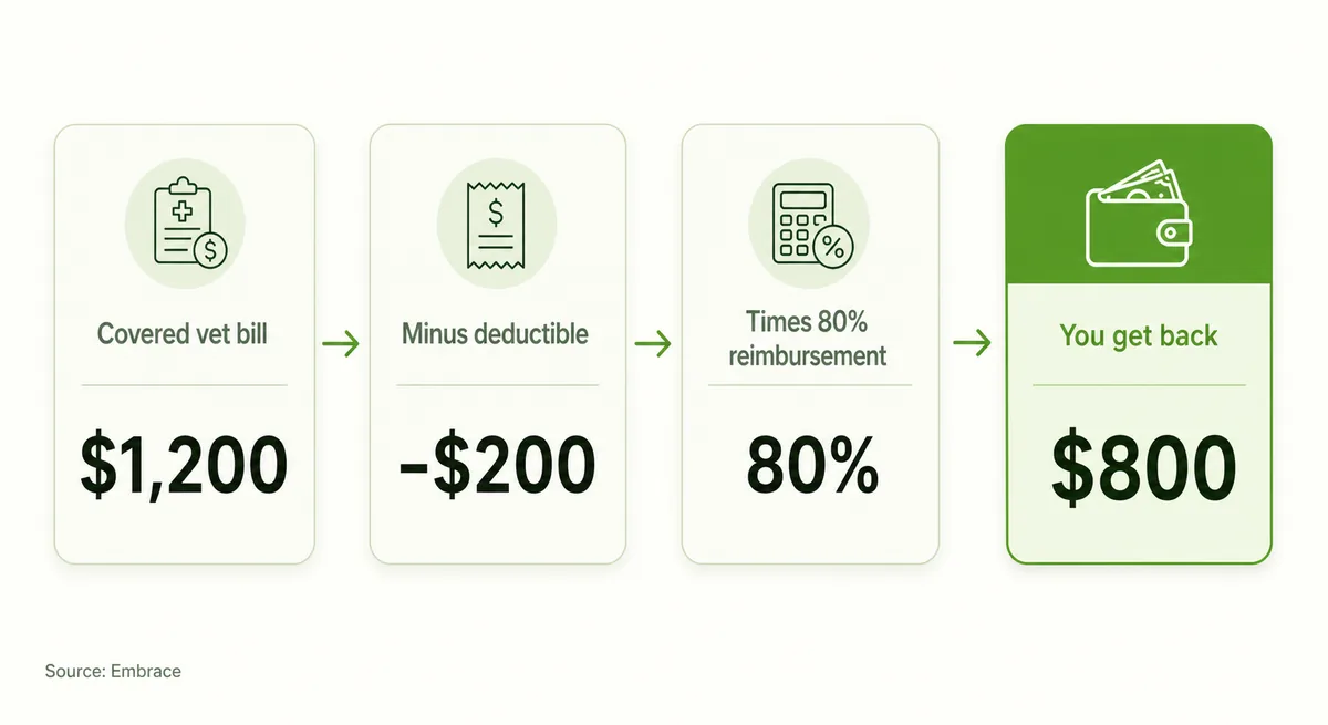 Diagram showing how a $1,200 vet bill becomes an $800 reimbursement after a $200 deductible and 80% reimbursement